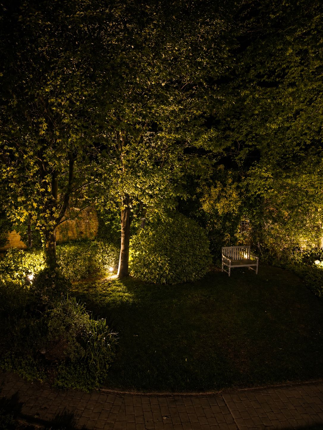 Garden night uplighting trees